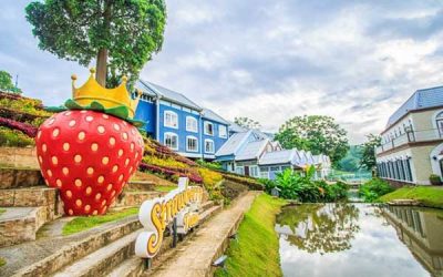 Strawberry Town